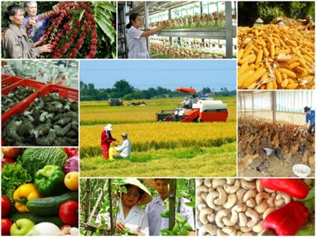 CPTPP: Opportunities and Challenges for Vietnamese agricultural products