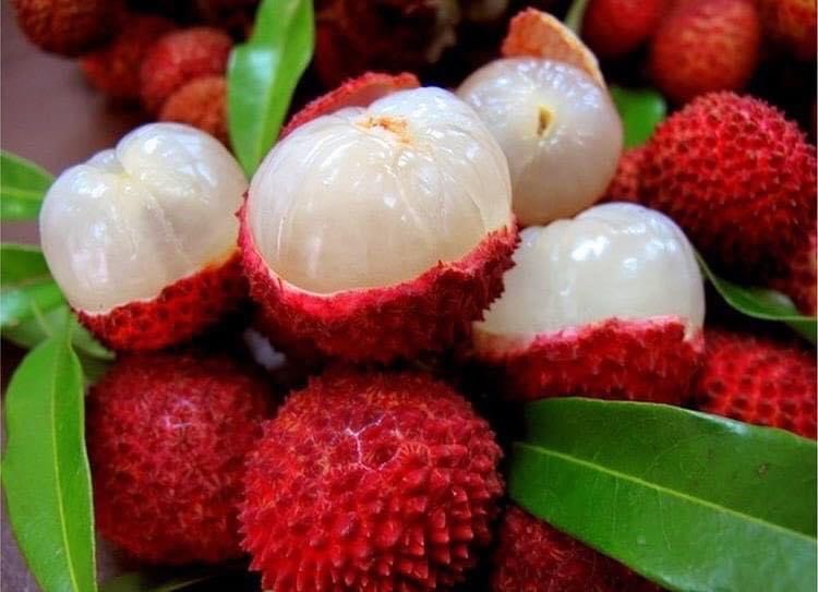 FRESH LYCHEE/LITCHI/LITCHEE